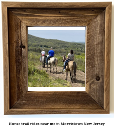 horse trail rides near me in Morristown, New Jersey